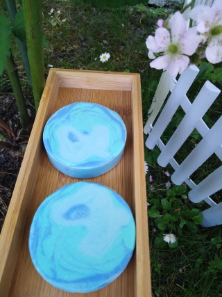 leptir 072 forum 2.jpg