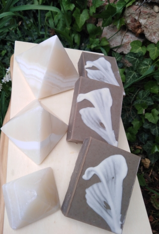 leptir 019 forum 2.jpg