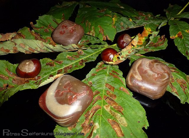 Lieblingsort Forum 05.jpg