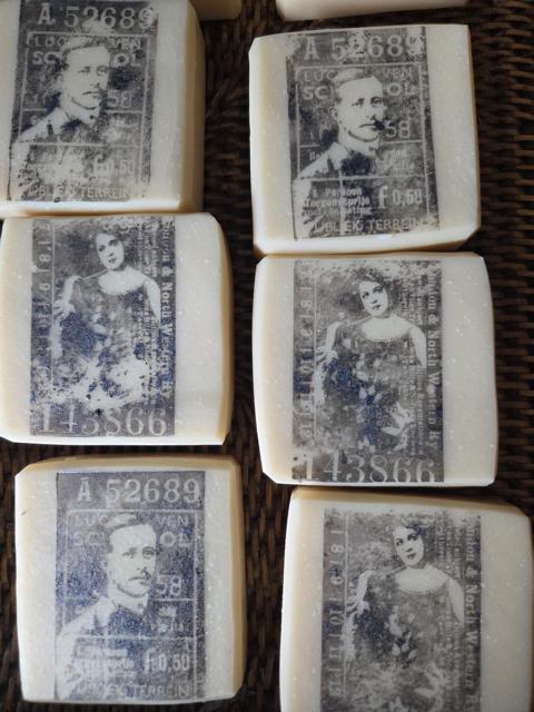 20250518_105507_resized (002).JPG