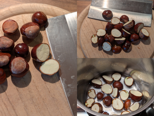 Kastanienmilch Collage 01 v.jpg