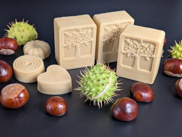 Kastanienseife 01! v.jpg