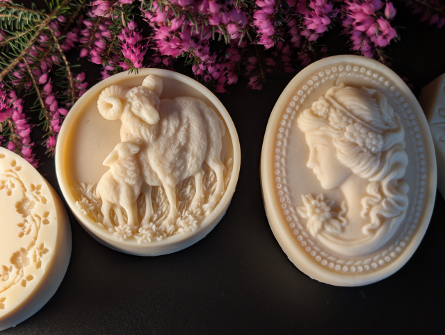 Seidenziege 07! v.jpg