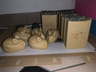 IMG_0857.jpeg