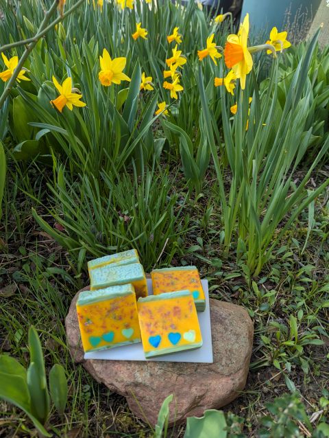 Konfetti TSH März.jpg