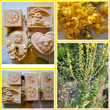Foto-Collagen-App_E3Nrkb_copy_351x351.png