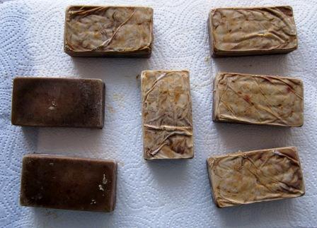 Freche Heidelbeere a.JPG